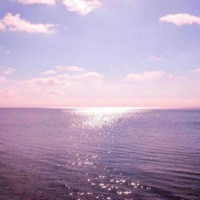 m6米乐官方网站登录入口APP下载